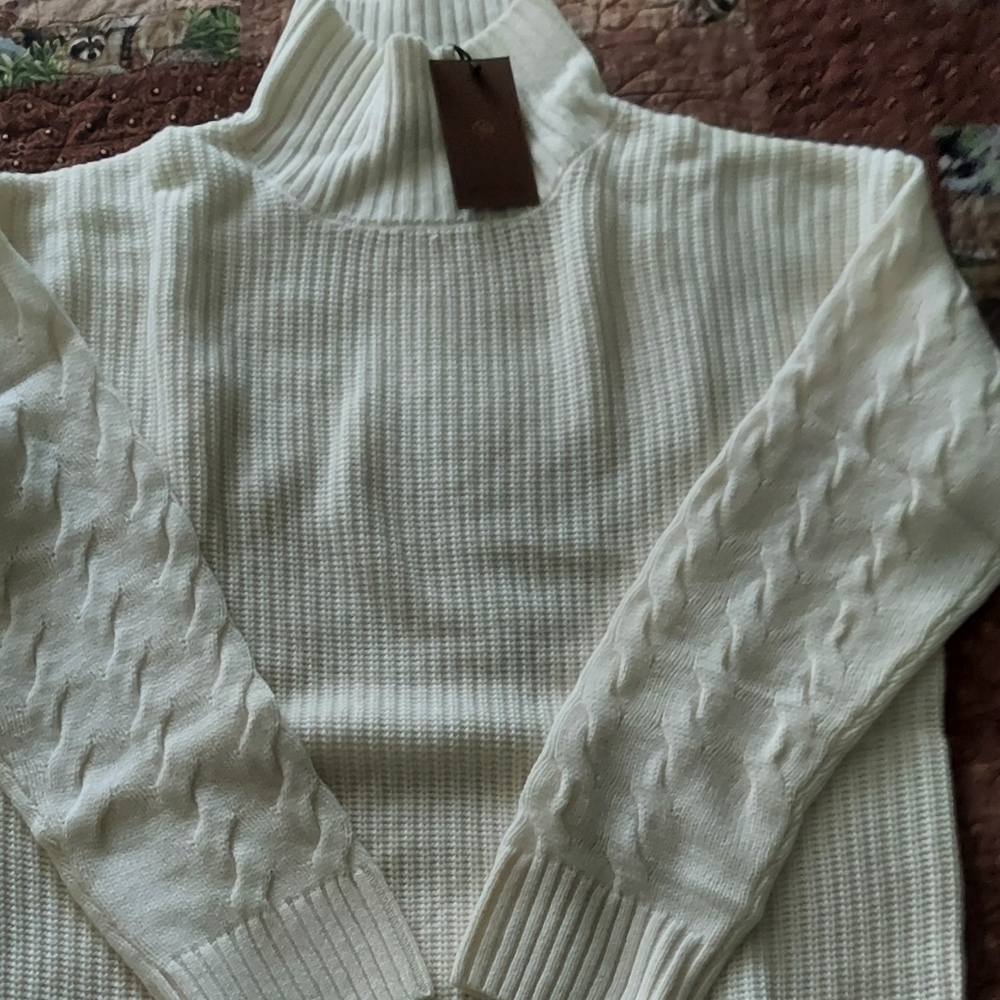 Oversized Cashmere Turtleneck Sweater
